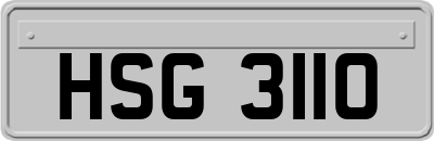HSG3110