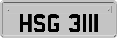 HSG3111