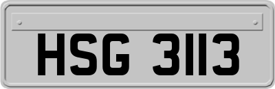 HSG3113
