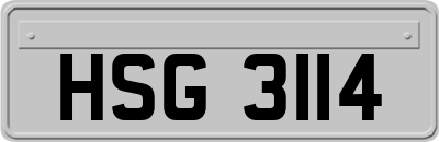 HSG3114