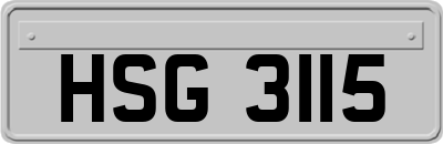 HSG3115