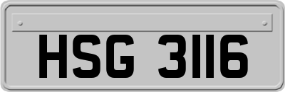 HSG3116