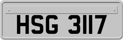 HSG3117