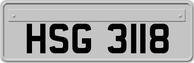 HSG3118