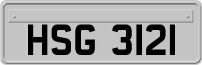 HSG3121