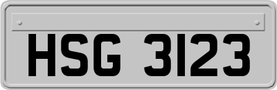 HSG3123