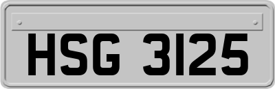HSG3125