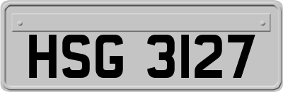 HSG3127