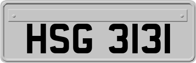 HSG3131