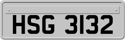 HSG3132