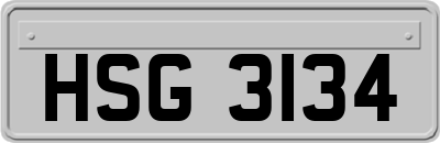 HSG3134