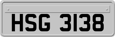 HSG3138
