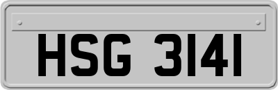 HSG3141