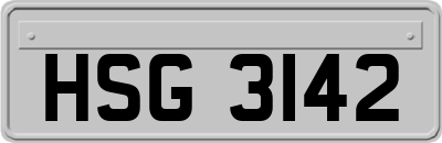 HSG3142