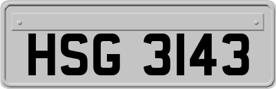 HSG3143