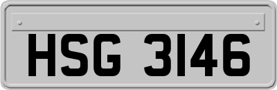 HSG3146