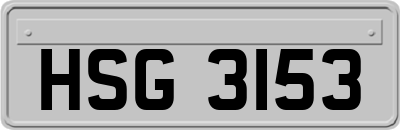 HSG3153