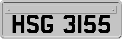 HSG3155