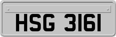 HSG3161