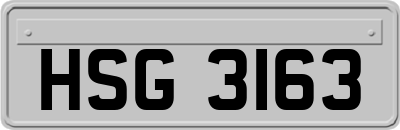 HSG3163
