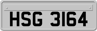 HSG3164