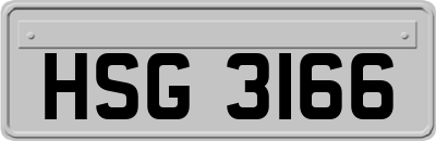 HSG3166