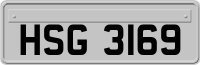 HSG3169