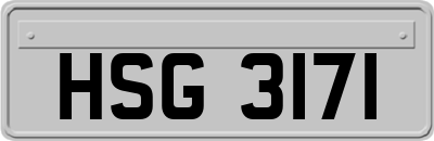 HSG3171