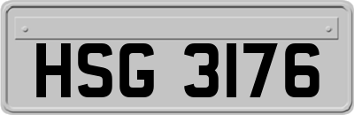 HSG3176