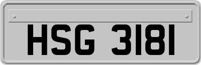 HSG3181