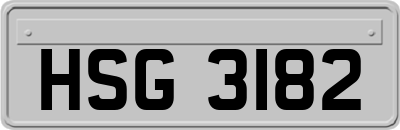 HSG3182