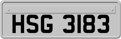HSG3183