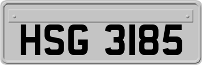 HSG3185