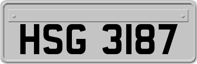 HSG3187