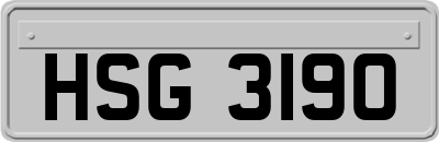 HSG3190