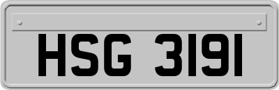HSG3191