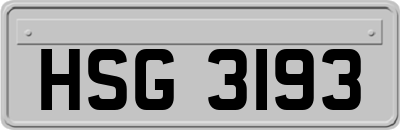 HSG3193
