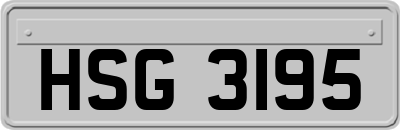 HSG3195