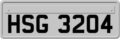 HSG3204