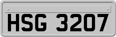 HSG3207