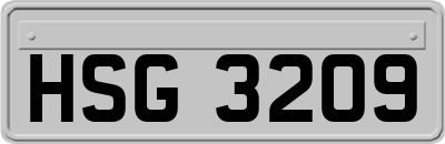HSG3209