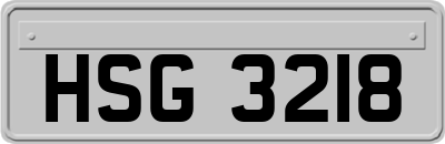 HSG3218