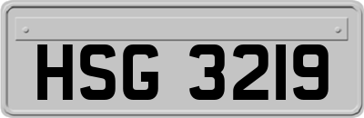 HSG3219
