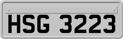 HSG3223