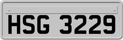 HSG3229