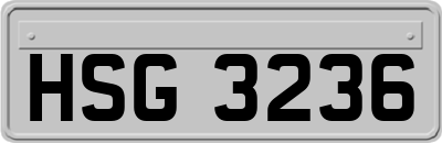HSG3236