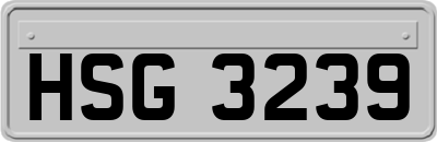 HSG3239