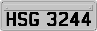HSG3244