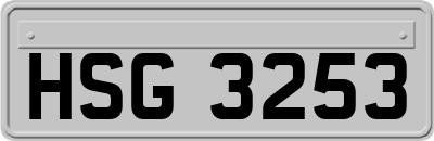 HSG3253