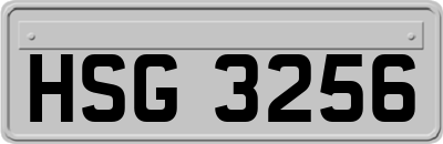 HSG3256